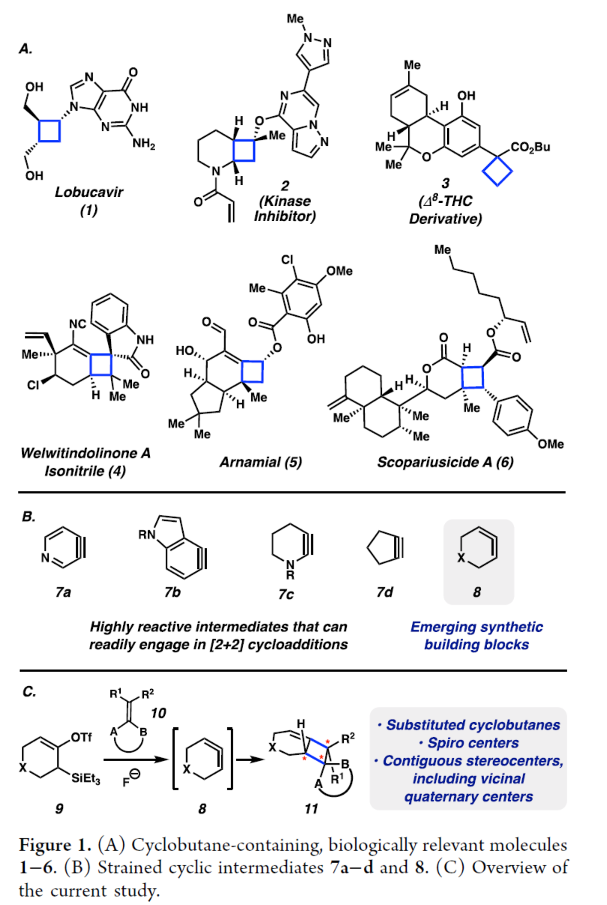 1716884977378164.png 圖片2.png