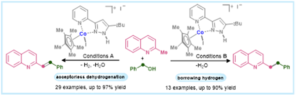 1717039185895127.png 圖片1.png