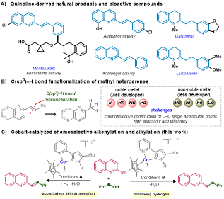 1717039189631256.png 圖片2.png
