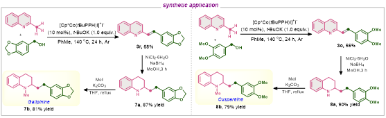 1717039204222176.png 圖片5.png