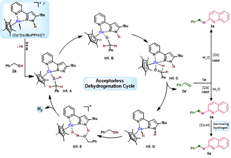 1717039208383695.png 圖片6.png