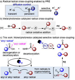 1717480497877115.png 圖片1.png