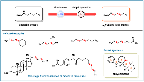 1717482571717838.png 圖片1.png