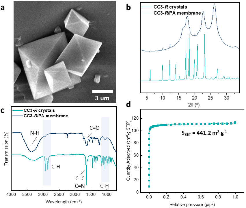 1717488135786964.png 圖片3.png