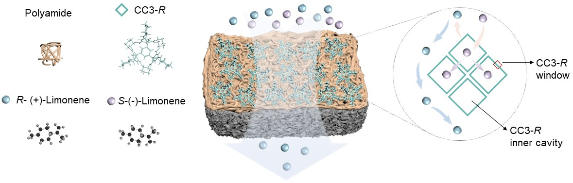 1717488143153728.png 圖片2.png