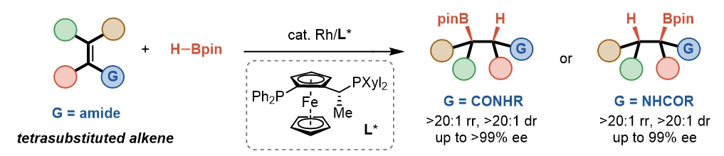 1717572489983098.png 1.png