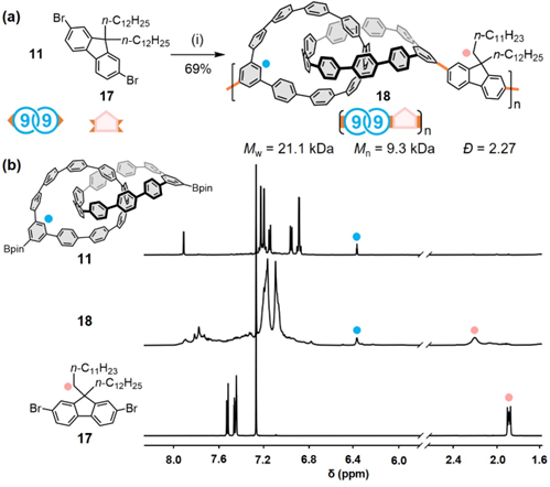 1717572692171076.png 圖片5.png