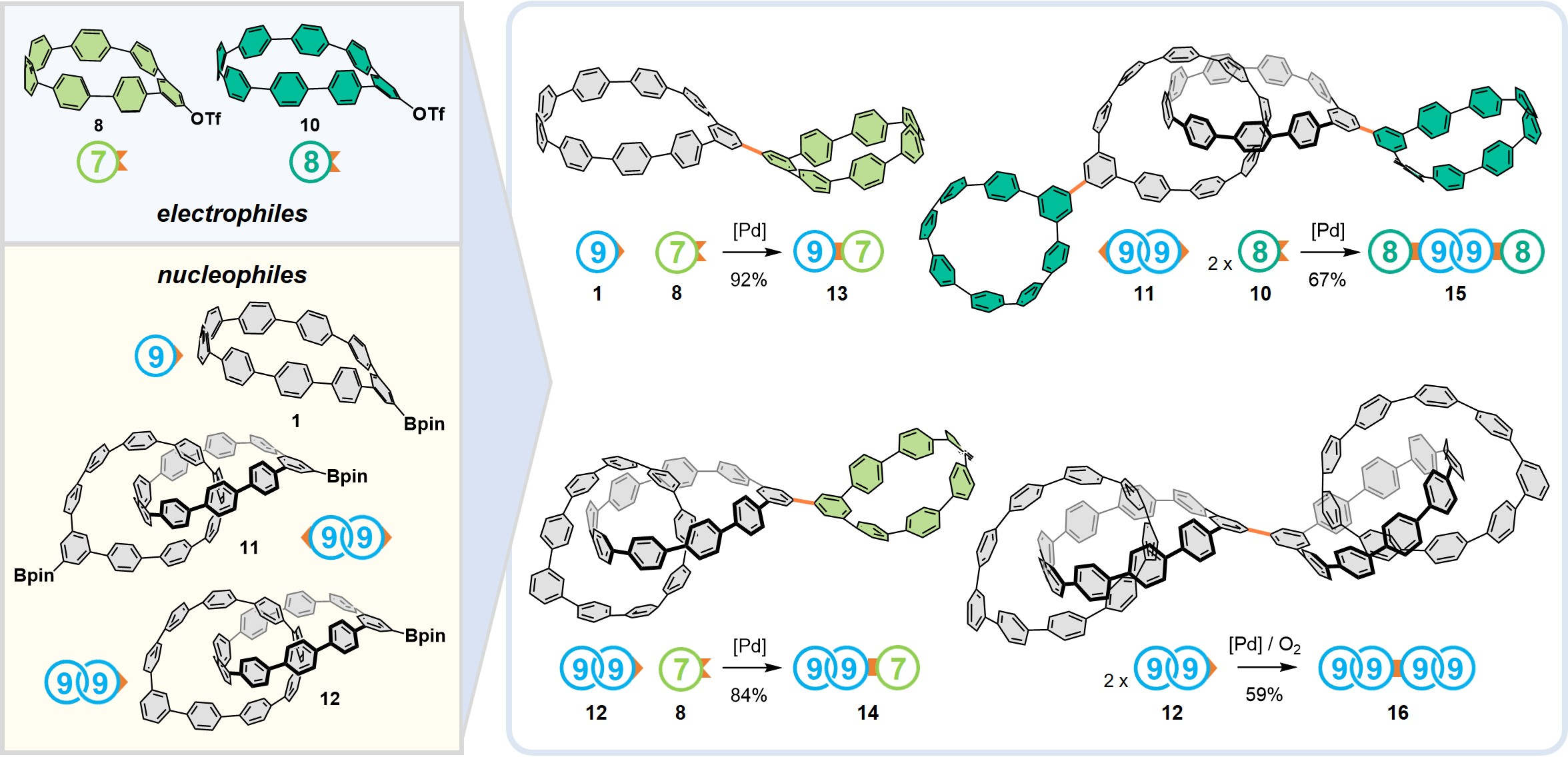 1717572697803070.png 圖片4.png