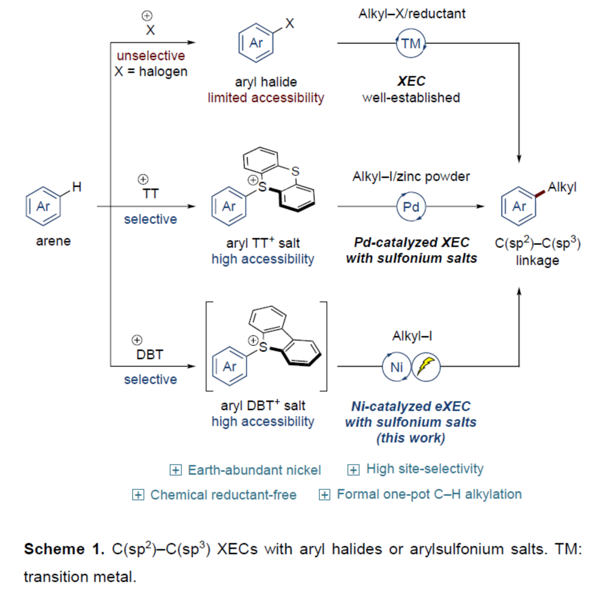 1718097914495561.png 圖片2.png