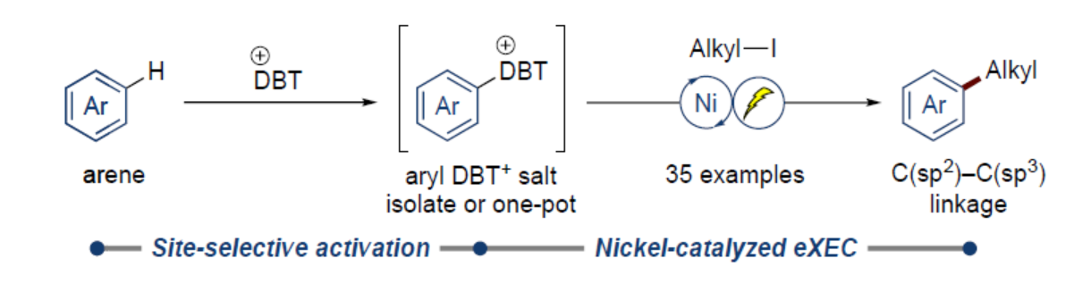 1718097918961301.png 圖片1.png