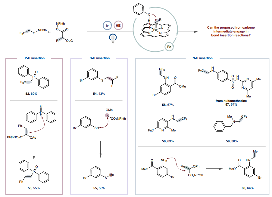 1718242221782989.png 圖片4.png