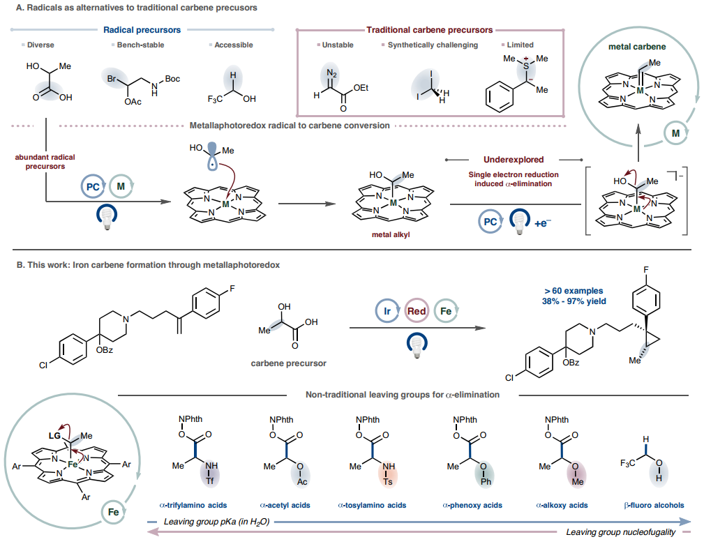 1718242234305291.png 圖片1.png