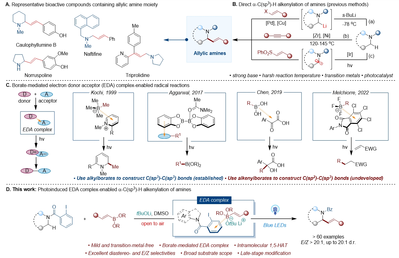 1721201496440634.png 1.png