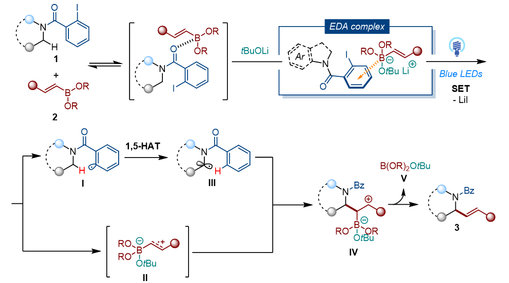 1721201531317265.jpg 6.jpg