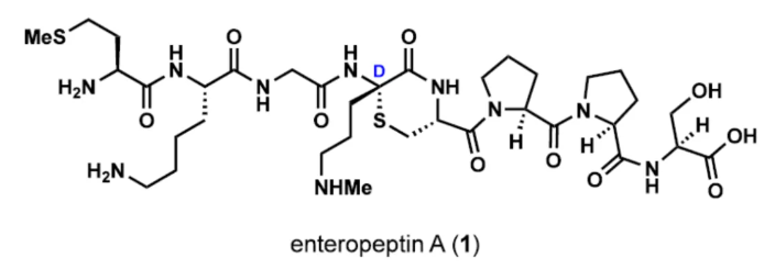 1721203743281363.png image.png