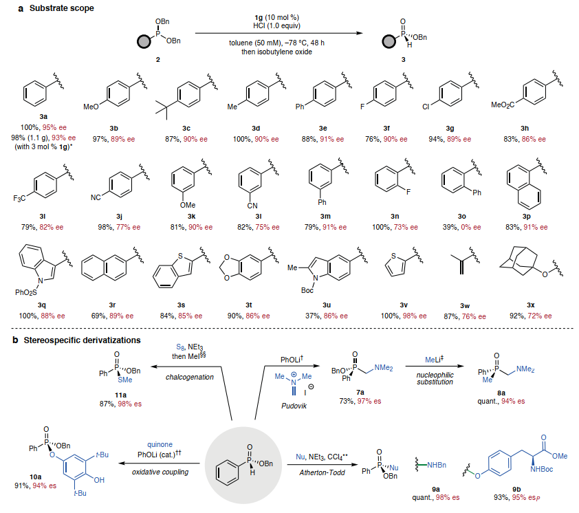 1722234022353971.png 圖片5.png