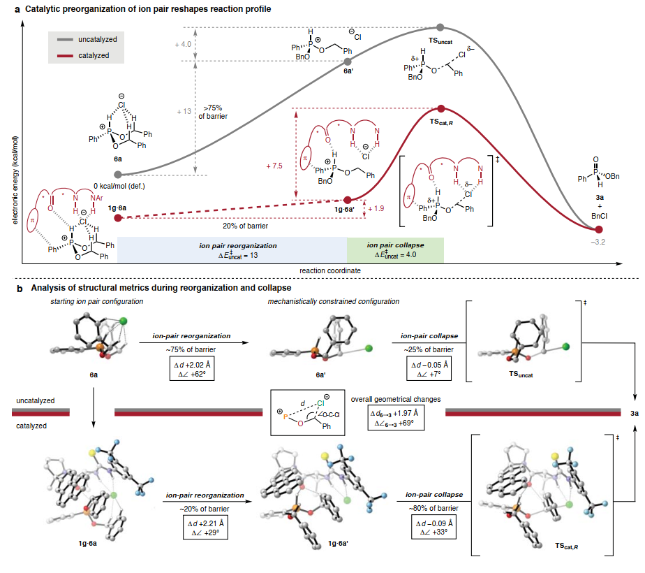 1722234027424567.png 圖片4.png