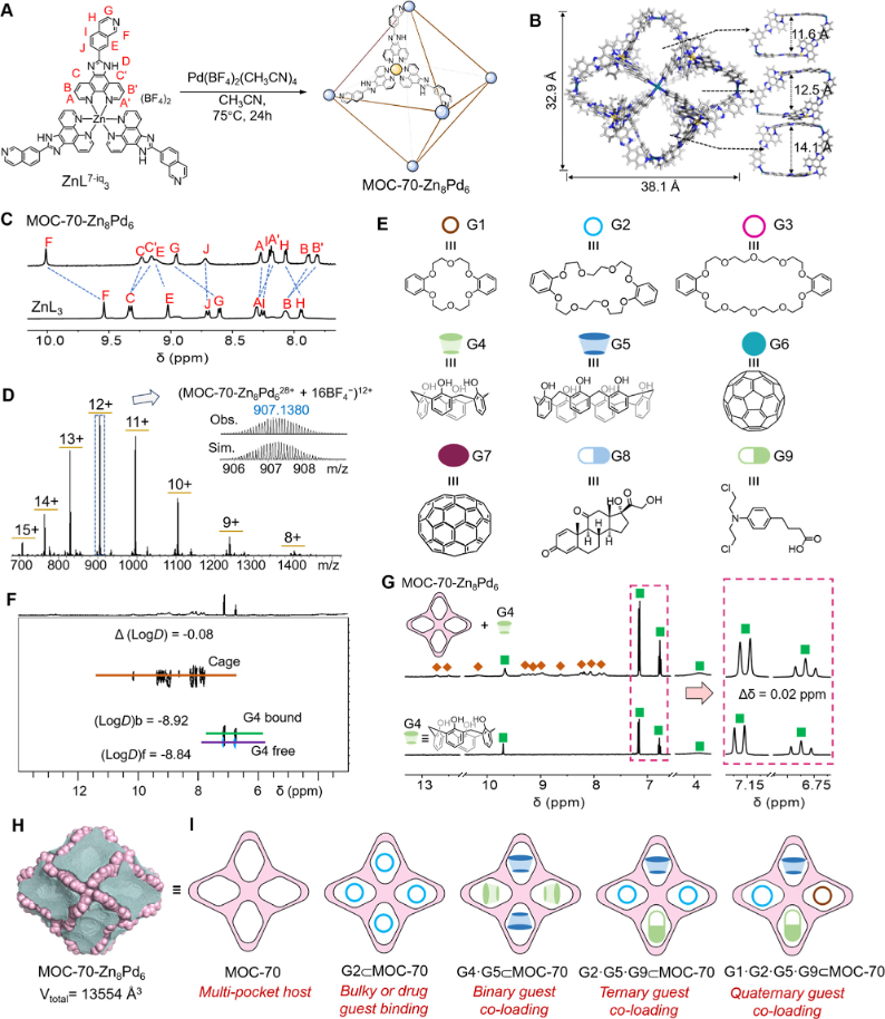 1722388871963022.png 1.png