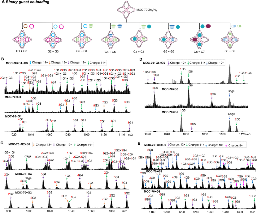 1722388880838689.png 3.png