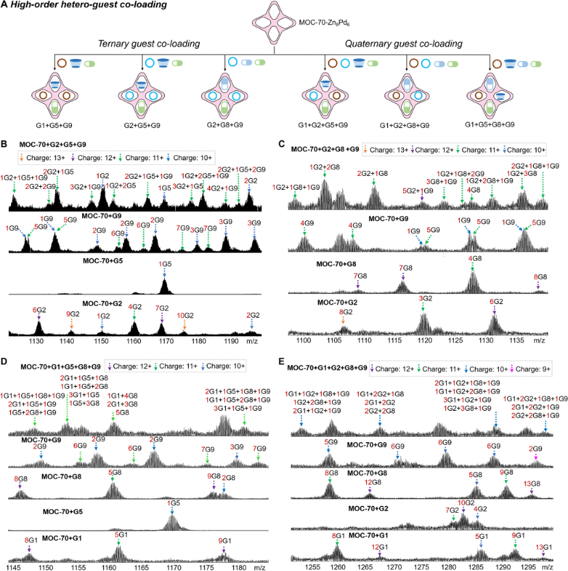 1722388885428398.png 4.png