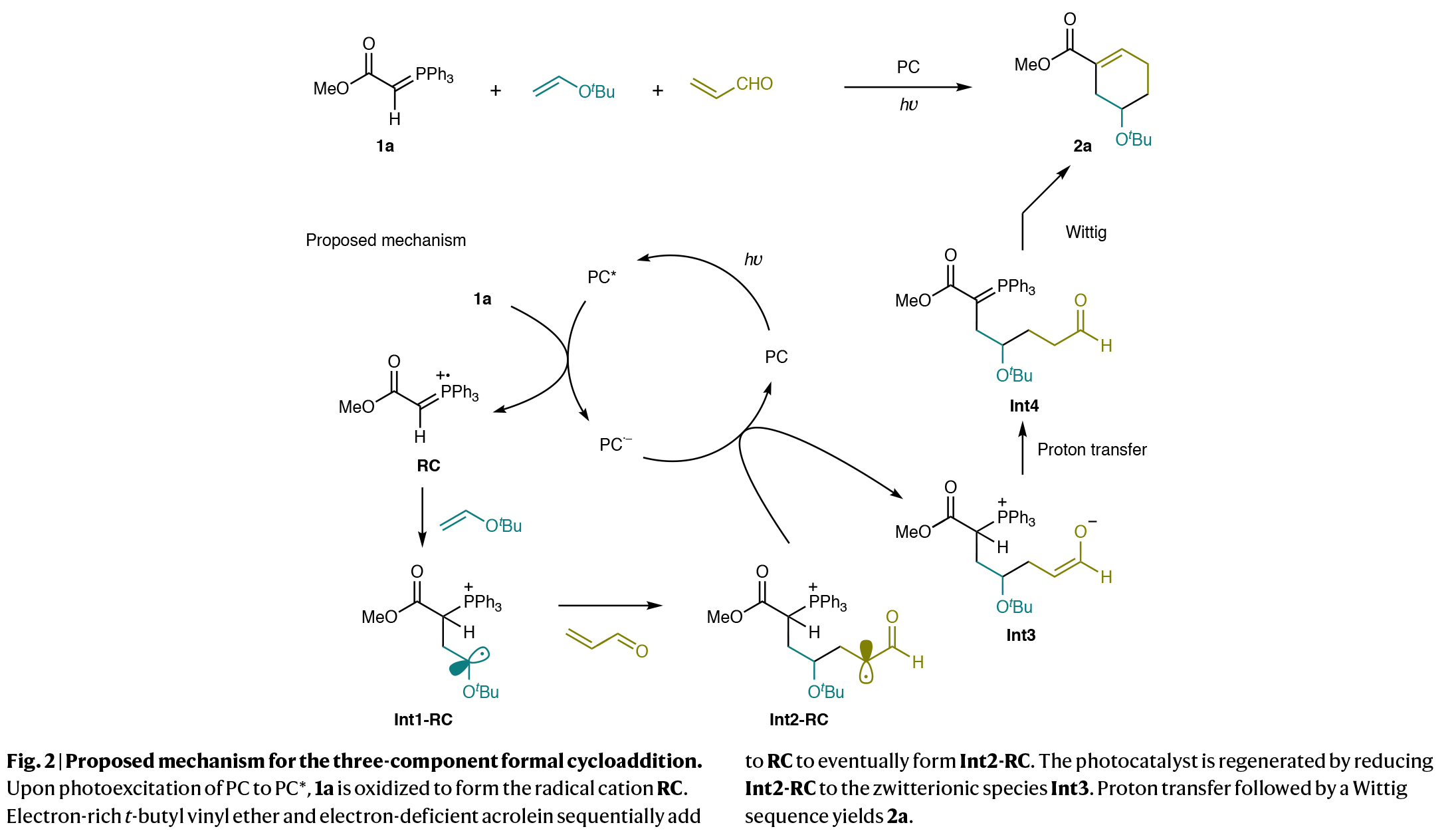 1722406792432296.jpg 3.jpg