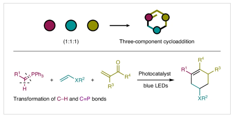 1722406800466125.png 圖片1.png