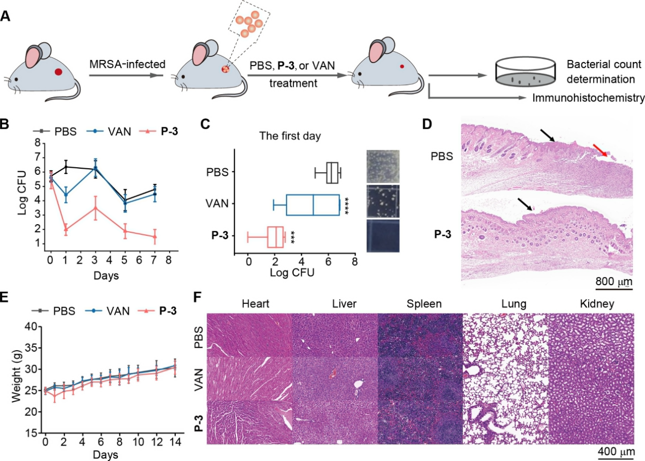 1722409586310919.png 圖片8.png