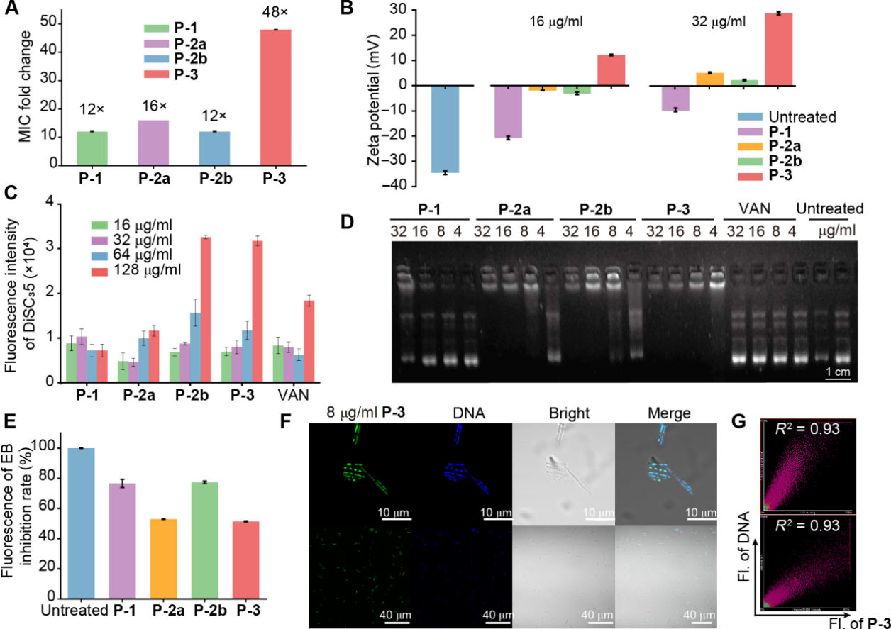 1722409593526595.png 圖片6.png