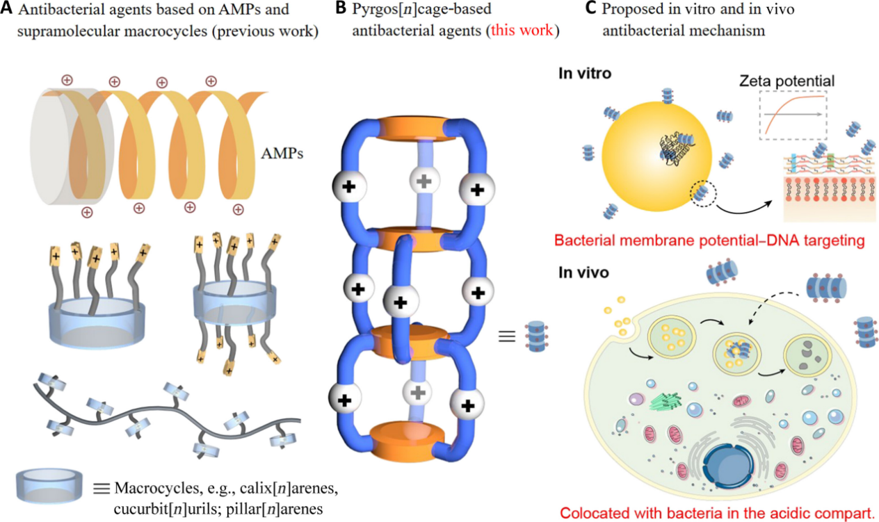 1722409609878286.png 圖片2.png