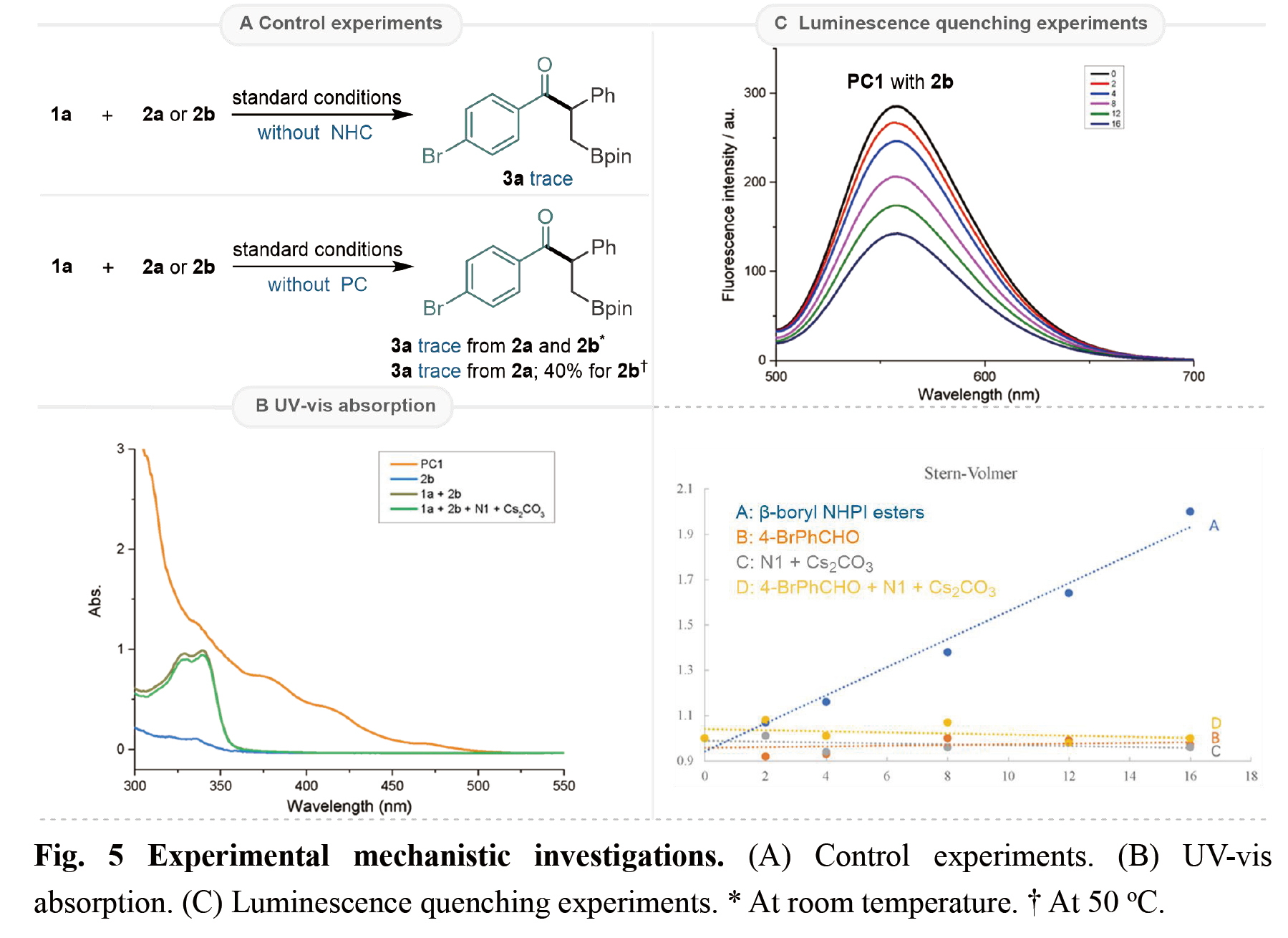 1722412745598627.jpg 7_看圖王.jpg