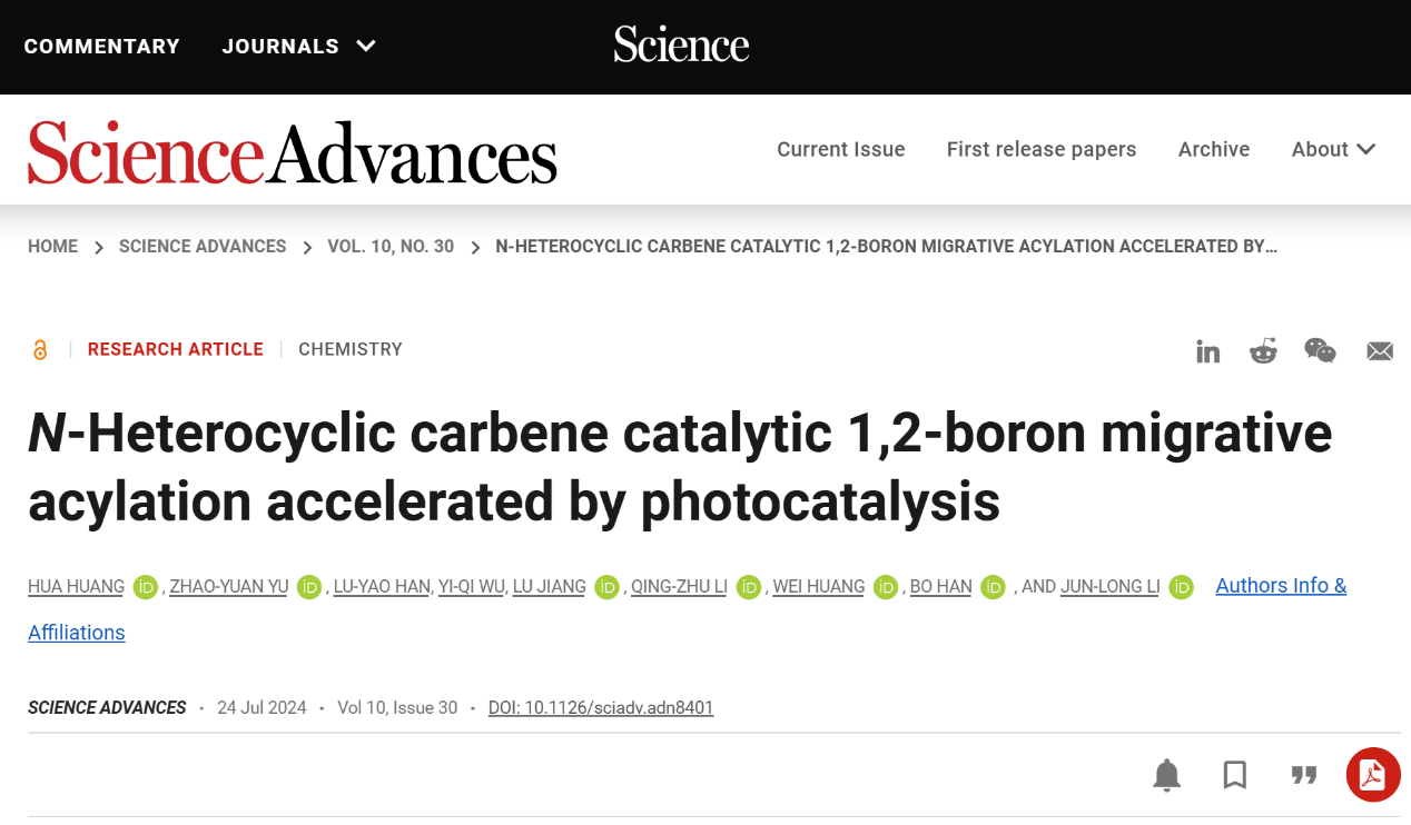 1722412771946742.png 1.png