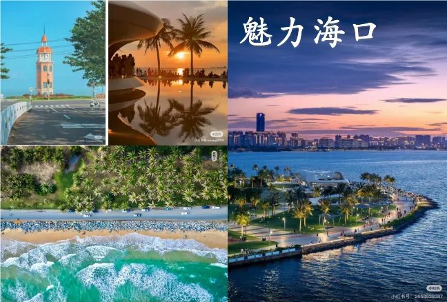 1722474039192826.png QQ_1722474033265.png