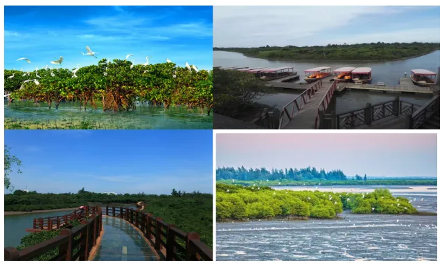 1722474063816700.png QQ_1722474060671.png