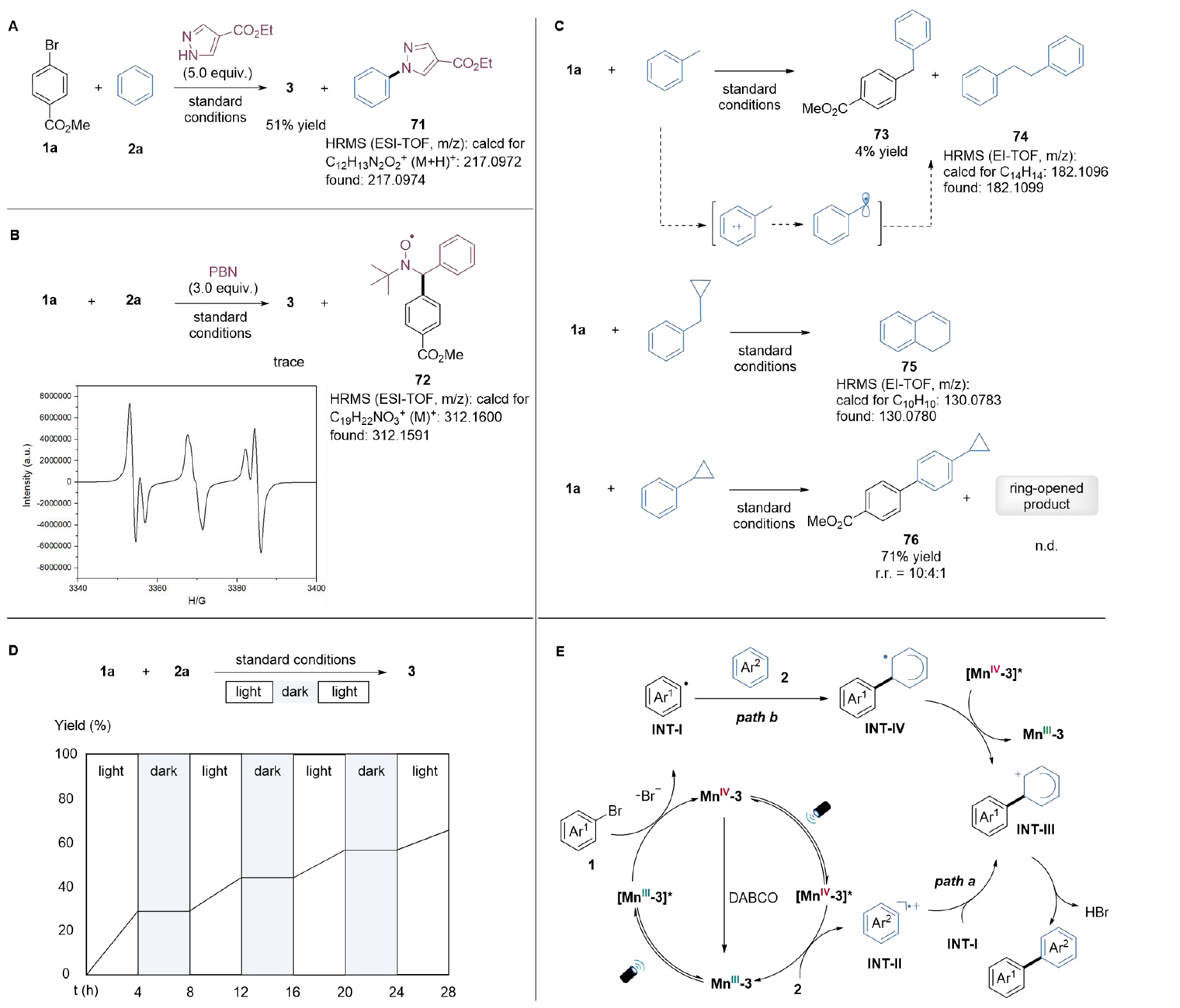 1722494057333904.jpg 5.jpg