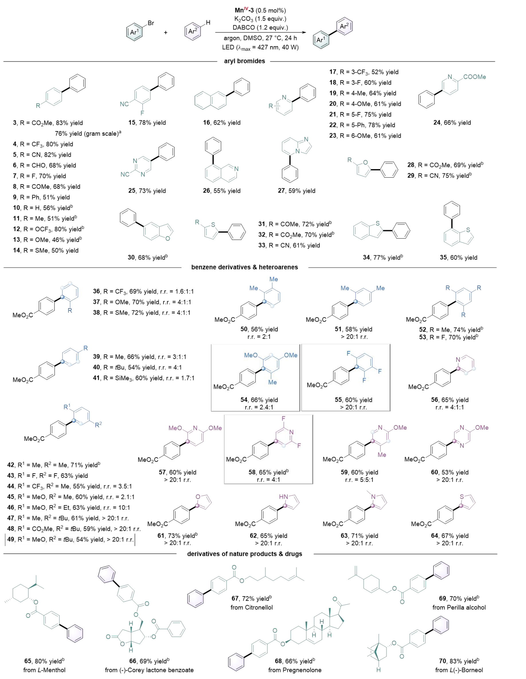 1722494060511365.jpg 4.jpg