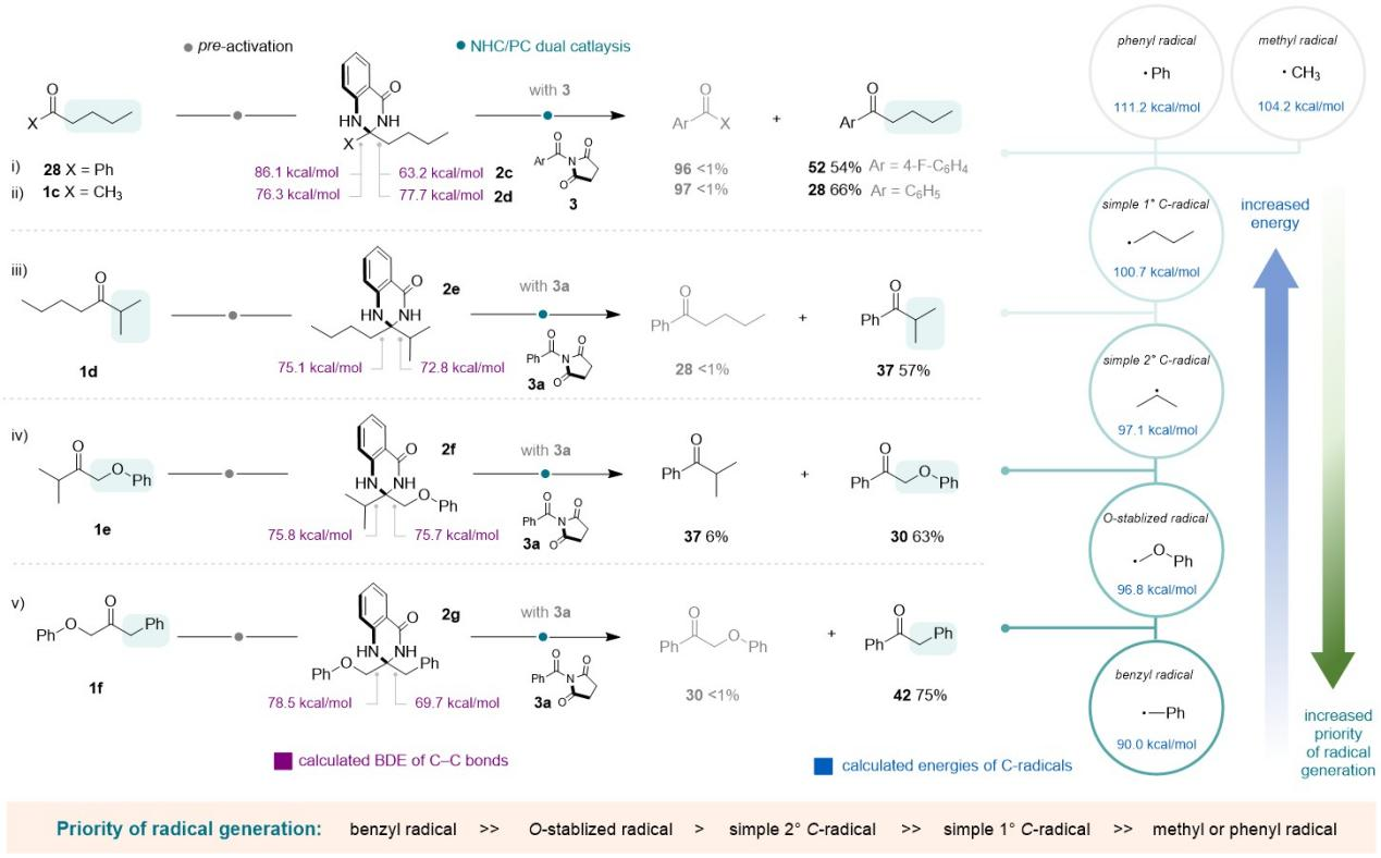 1722584295426316.png 圖片9.png