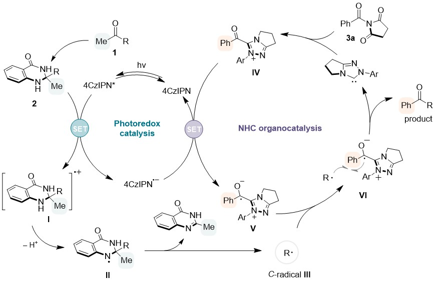 1722584300420313.png 圖片8.png