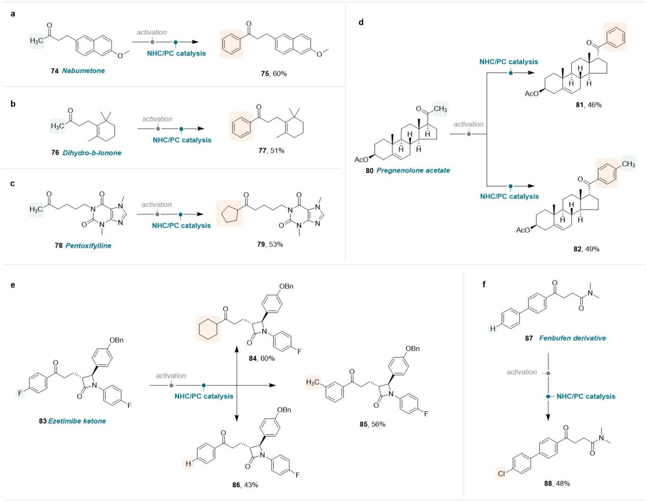 1722584309682885.png 圖片6.png