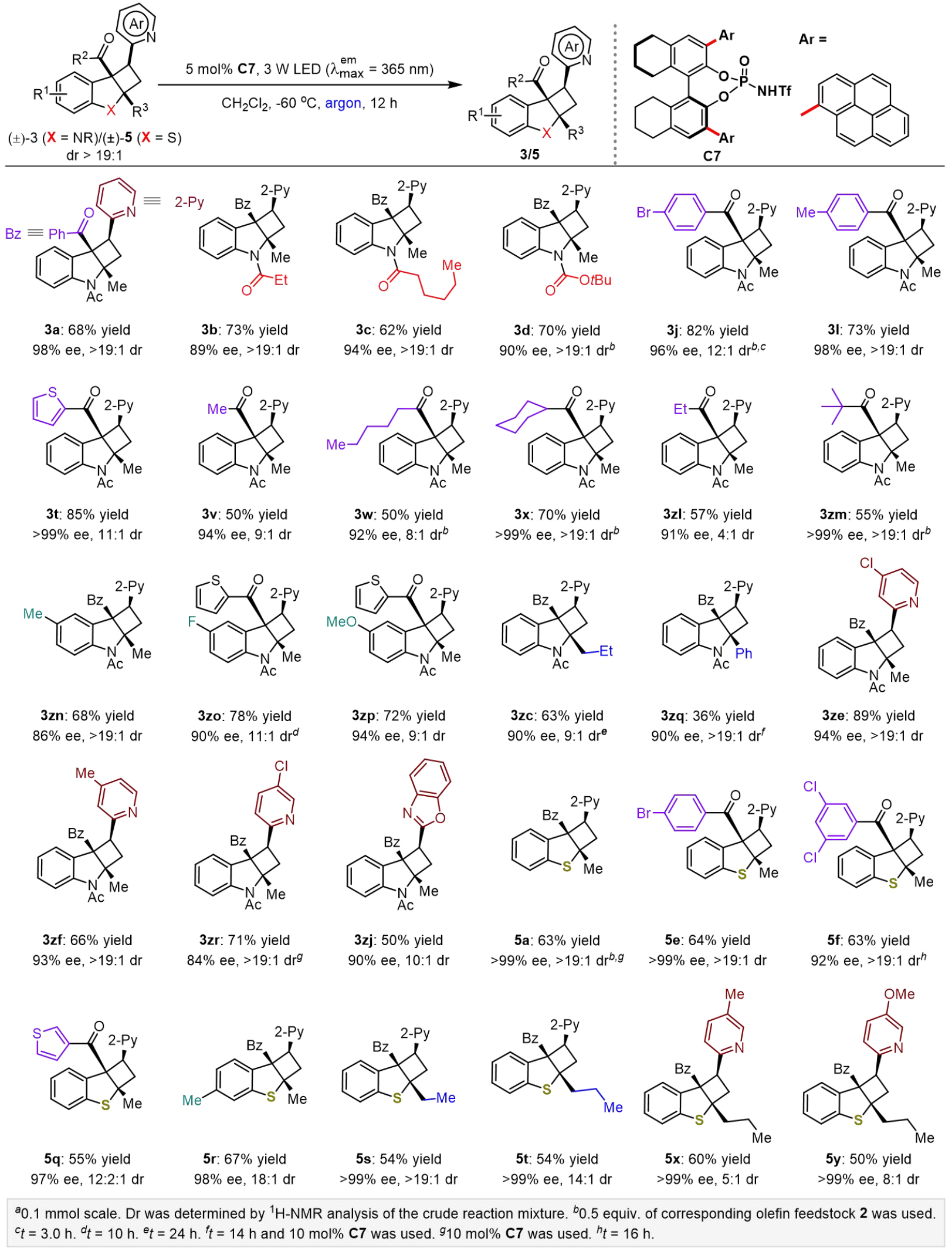 1722908245474824.jpg 7.jpg