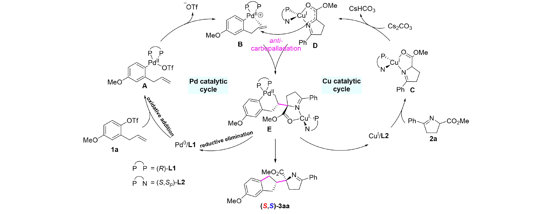 1723104902233043.jpg 6.jpg