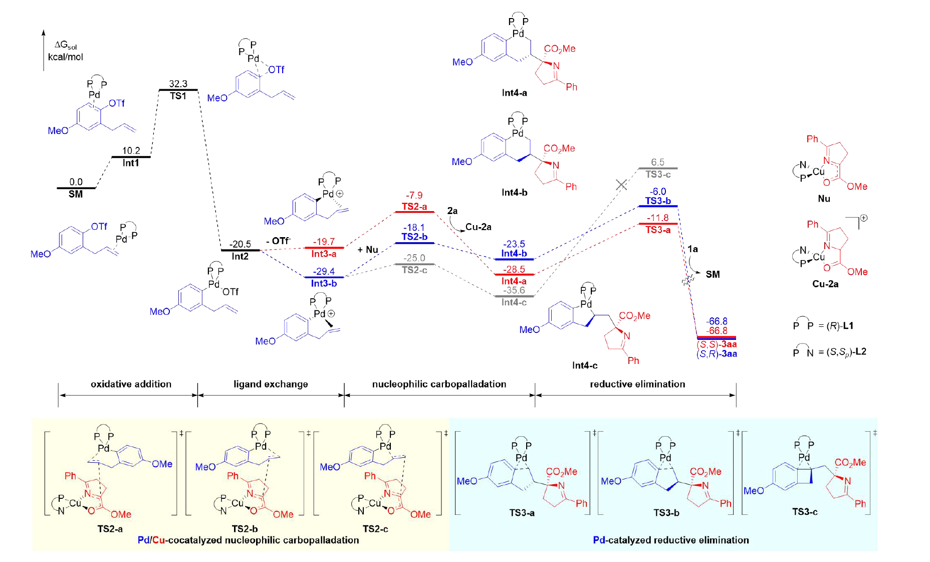 1723104906888936.jpg 5.jpg