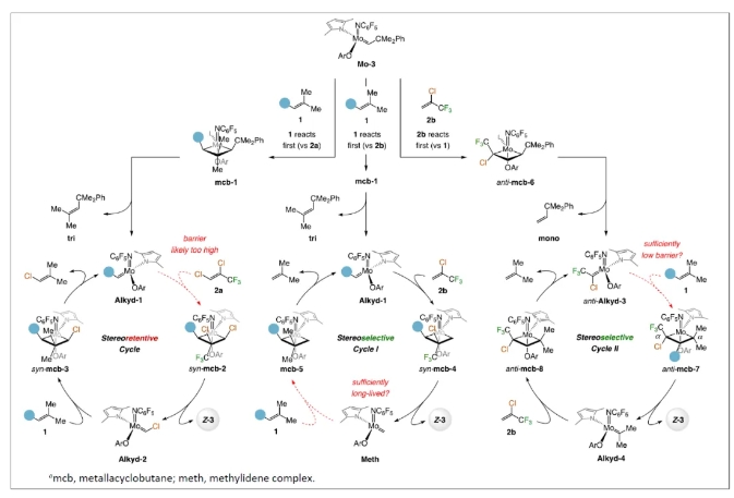 1723105813832680.png 2.png