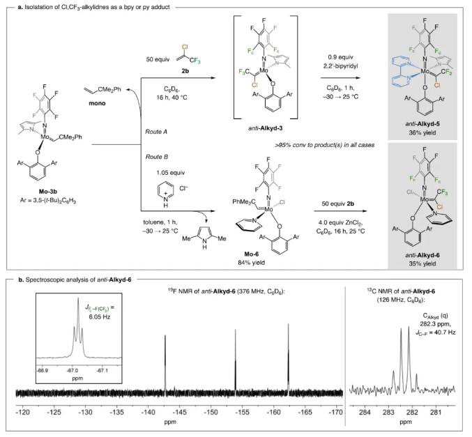 1723105826987197.png 5.png