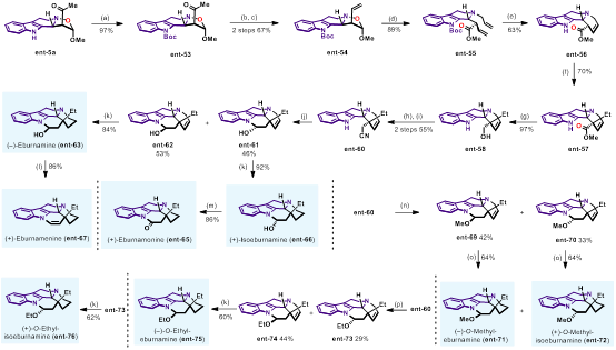 1723106426611232.png 圖片8.png