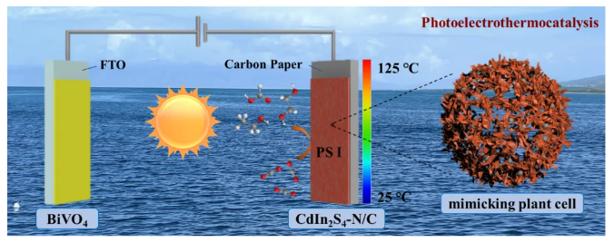 1723107351683012.png image.png