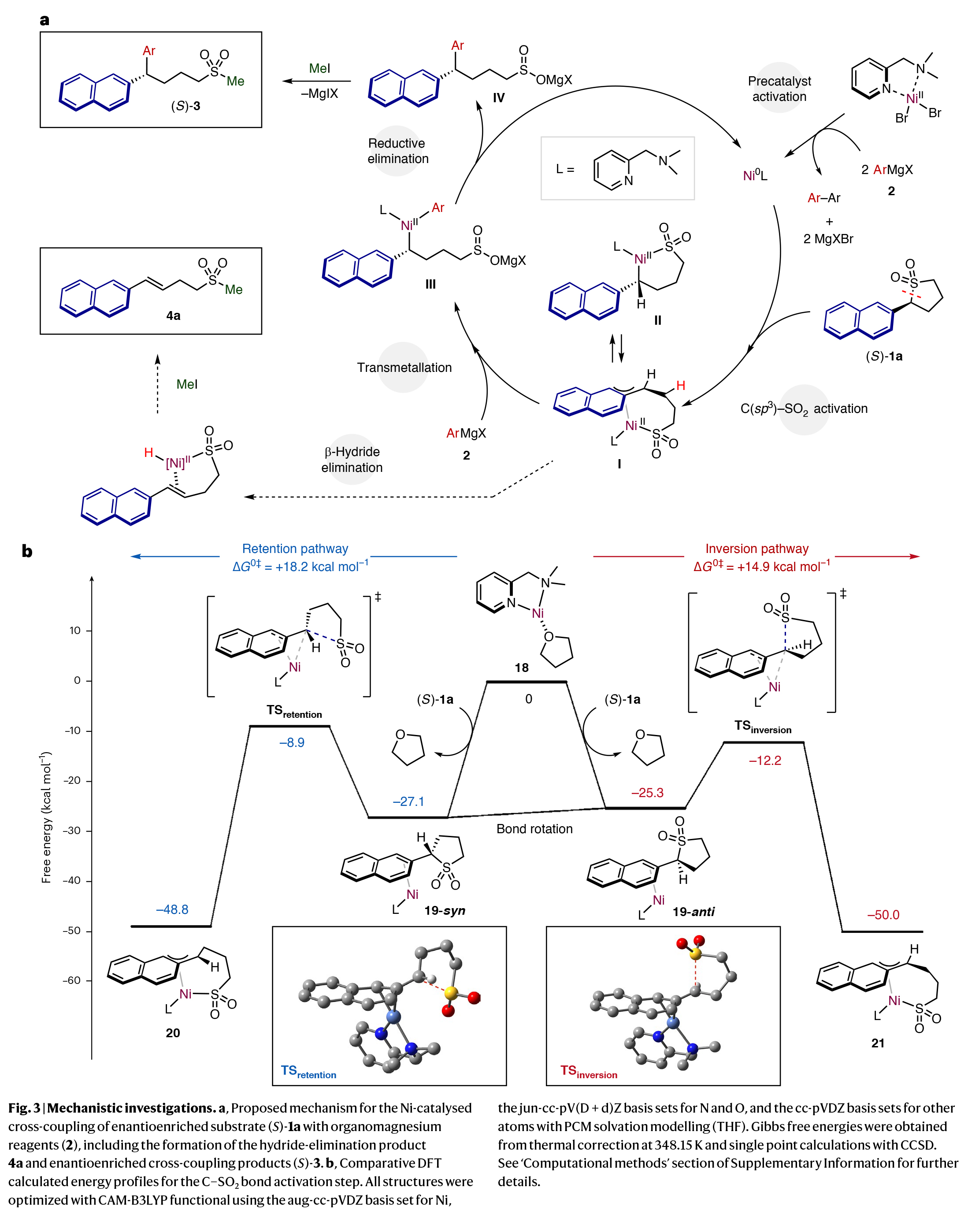 1723455265453033.jpg 6.jpg