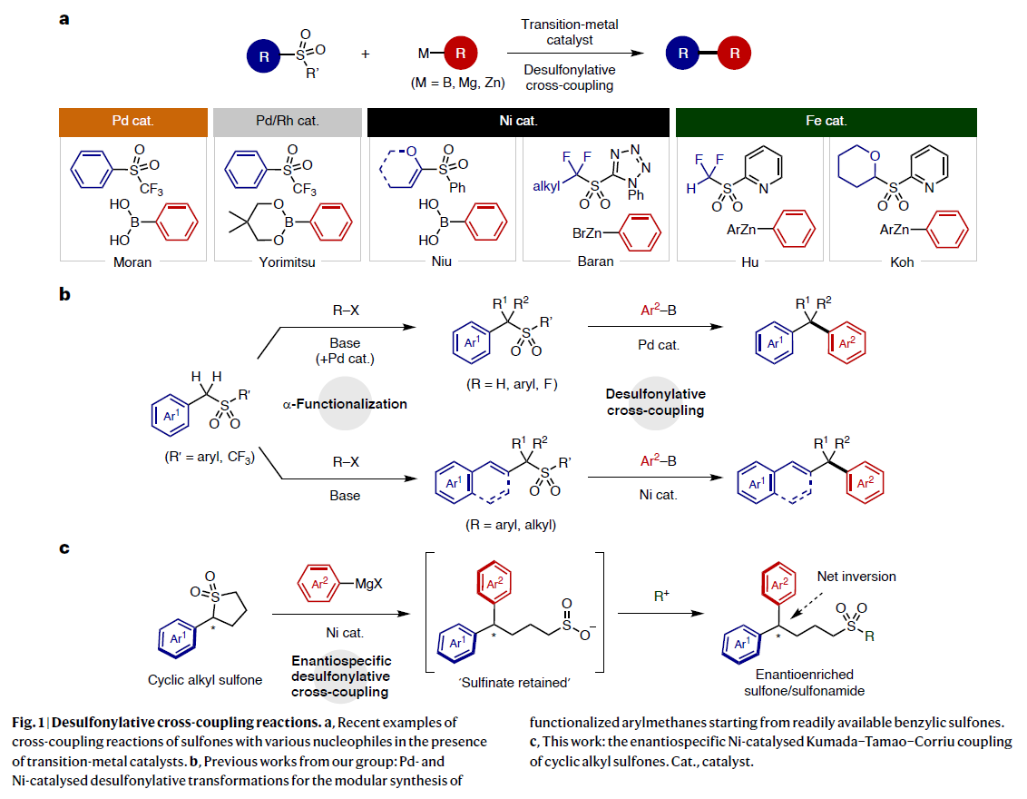 1723455280462694.png 圖片2.png