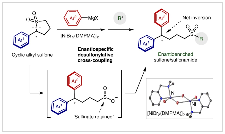 1723455284639981.png 圖片1.png