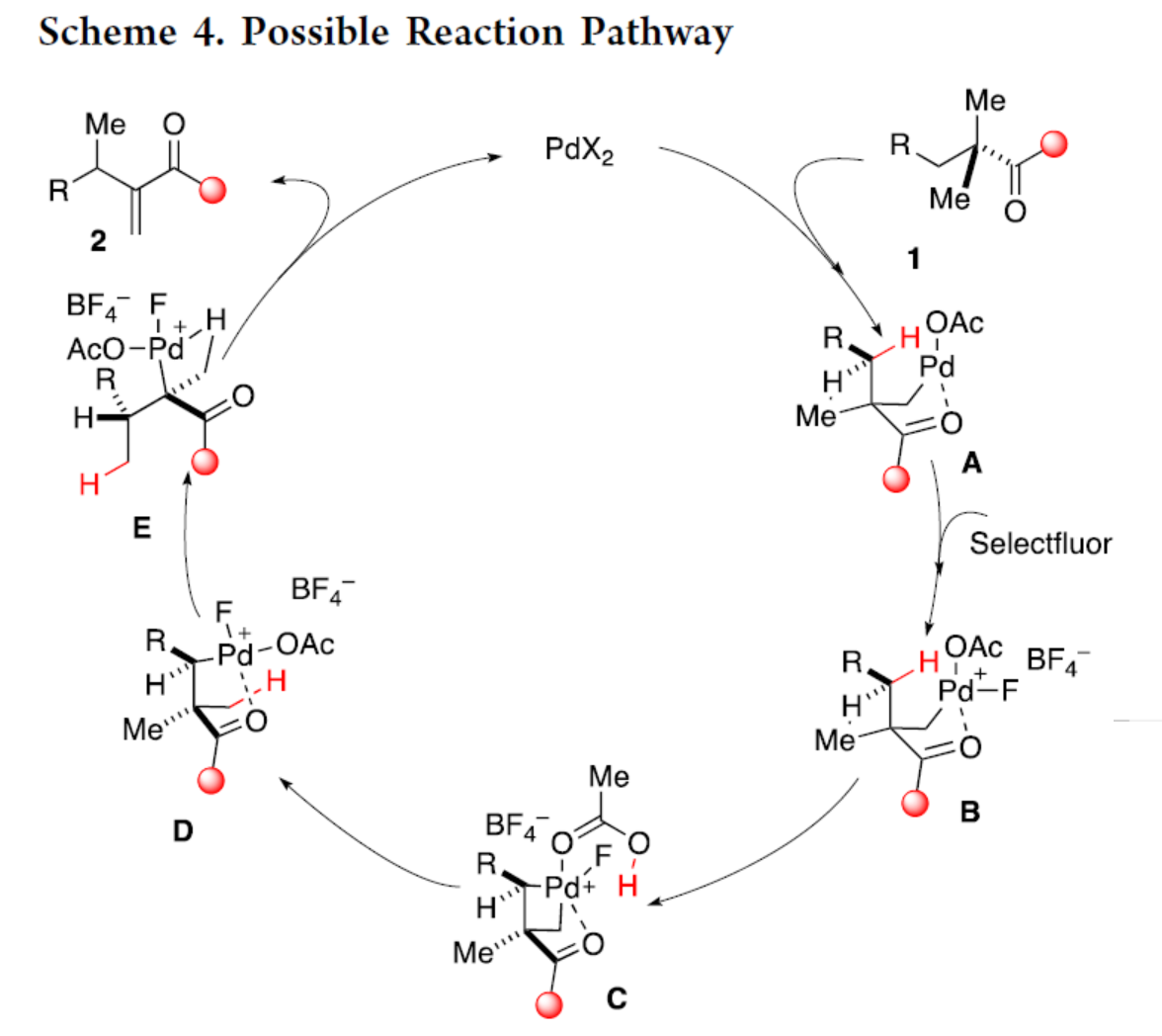 1723597021343721.png 圖片5.png