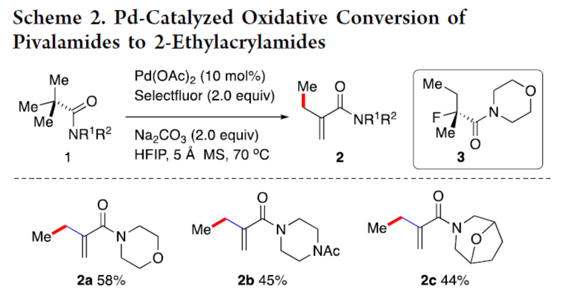 1723597030498168.png 圖片3.png